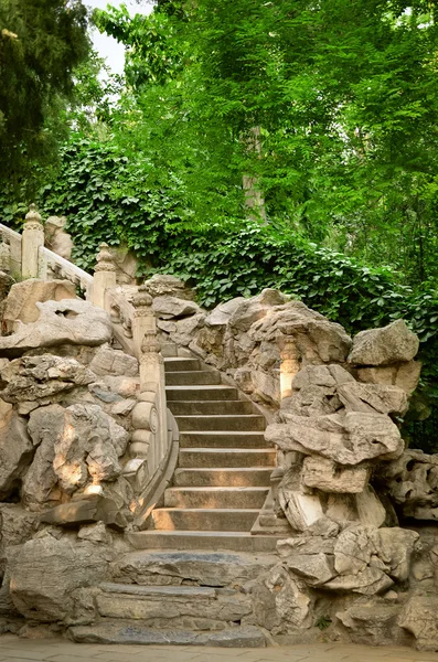 Antigua escalera de piedra en las hojas — Foto de Stock