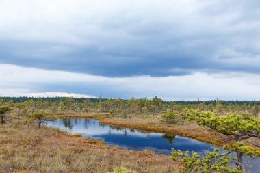 Güzel küçük bir göl Kemeri Milli Parkı, Letonya, su yüzeyi bir gökyüzü yansıması ile.