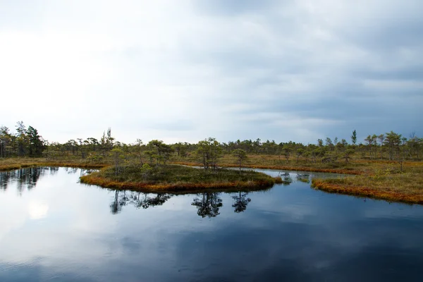 Krásné malé jezero v národní Park Kemeri, Lotyšsku, s odrazem oblohy ve vodní hladiny. — Stock fotografie