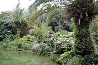 Tel - Aviv Yarkon Nehri