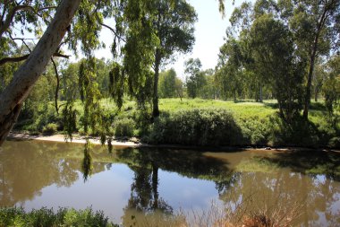 Tel - Aviv Yarkon Nehri