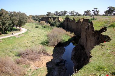 Tel - Aviv Yarkon Nehri