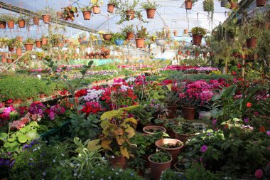 çatı - üst Bina İnşaatı