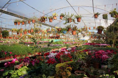 çatı - üst Bina İnşaatı