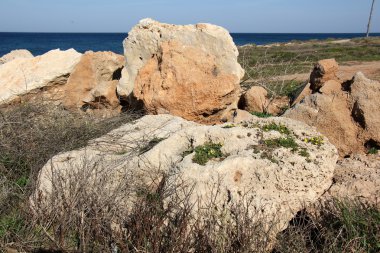 Deniz kıyısındaki taşlar