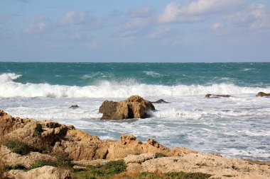 Deniz kıyısındaki taşlar