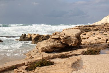 Deniz kıyısındaki taşlar