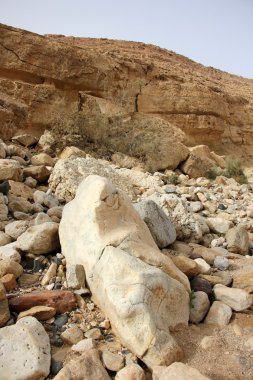 Deniz kıyısındaki taşlar