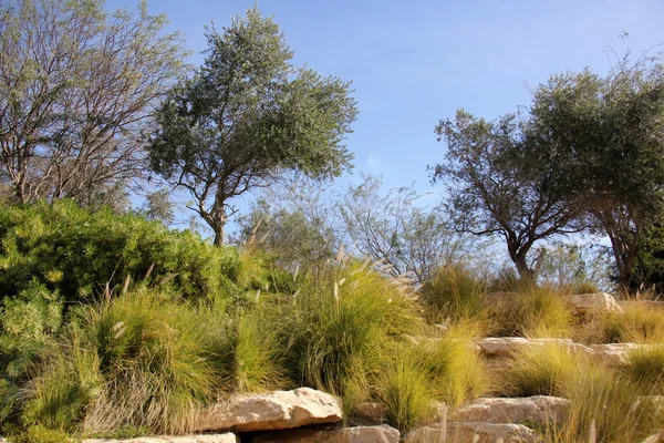 Piedras en la orilla del mar — Foto de Stock