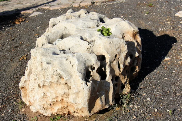 Piedras en la orilla del mar —  Fotos de Stock