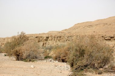 Necef Çölü'nde kış