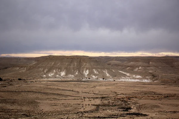 Invierno en el desierto de Negev —  Fotos de Stock