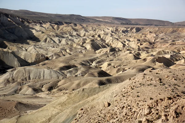 Invierno en el desierto de Negev —  Fotos de Stock