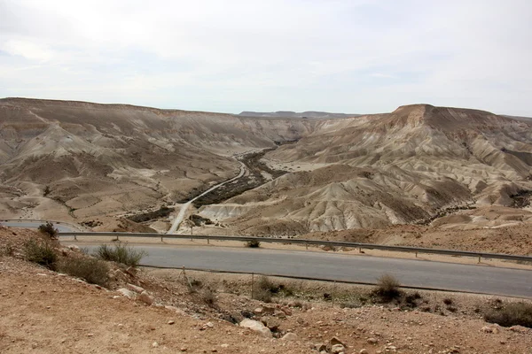 Winter in Negev desert — Stock Photo, Image