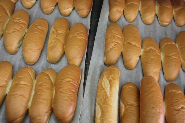 Friss kenyér és zsemle — Stock Fotó
