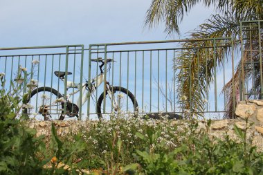 Bisiklet - tekerlekli araç