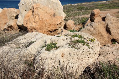 kayalar Akdeniz kıyısında