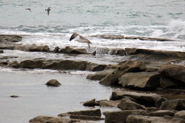 kayalar Akdeniz kıyısında