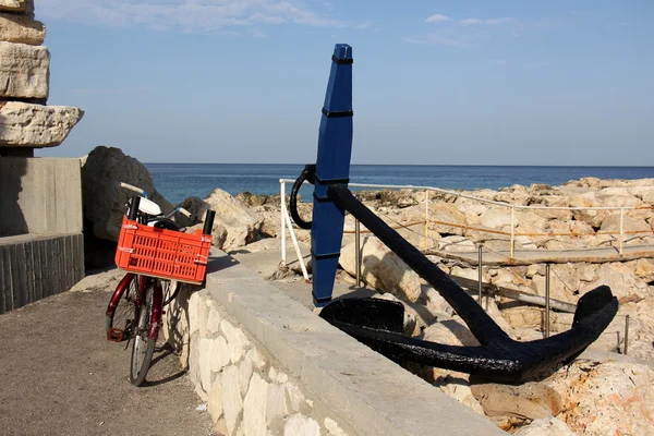 Bicicleta - vehículo de ruedas — Foto de Stock