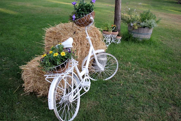 Fahrrad - fahrbares Fahrzeug — Stockfoto