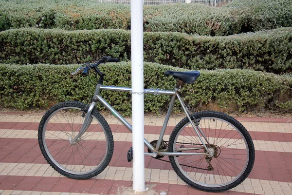 Bicicleta - veículo com rodas — Fotografia de Stock