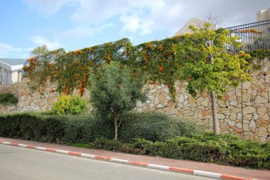 Çitin her zaman bir sınırdır