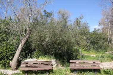tezgah parkı eğlence için