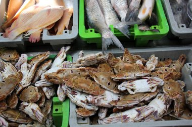 Üstünde belgili tanımlık sayaç taze deniz ürünleri