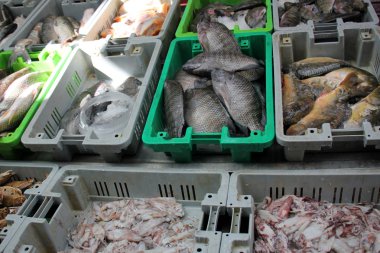 Üstünde belgili tanımlık sayaç taze deniz ürünleri