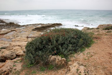 Akdeniz kıyısında