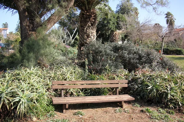 Bench in the park for recreation — Stock Photo, Image