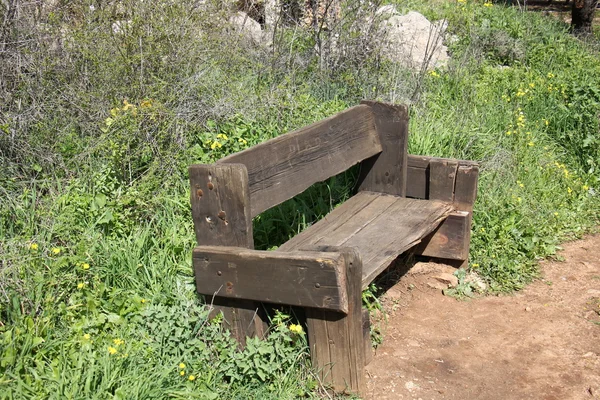 Bench in the park for recreation — Stock Photo, Image