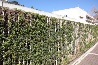 her zaman Sınırdaki telleri