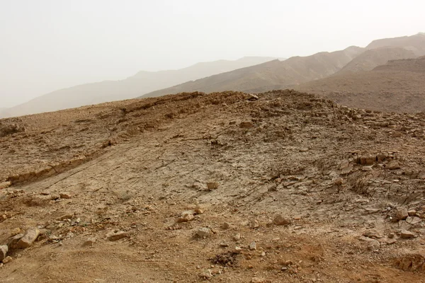 Stenarna i Negev-öknen — Stockfoto