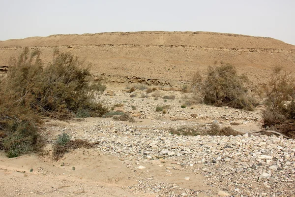 Πέτρες της ερήμου Negev — Φωτογραφία Αρχείου