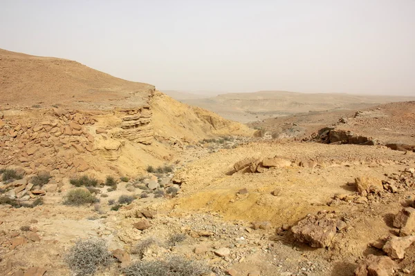 Stones of the Negev desert — Stock Photo, Image