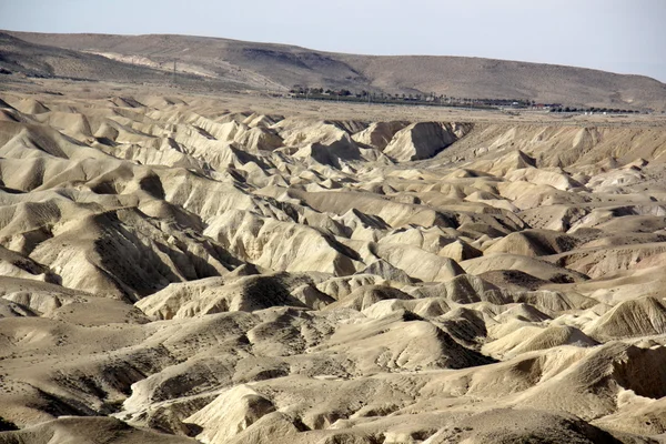 Piedras del desierto del Néguev —  Fotos de Stock