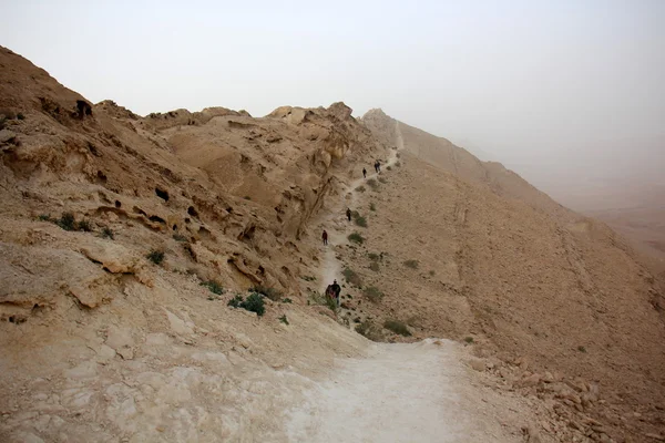 Negev Çölü taşlar — Stok fotoğraf