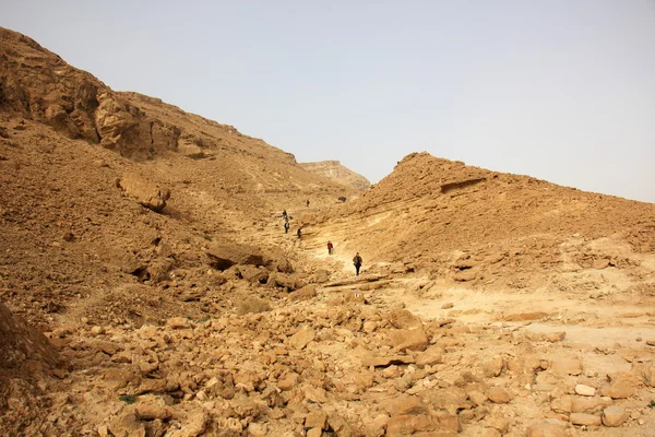 Stones of the Negev desert — Stock Photo, Image