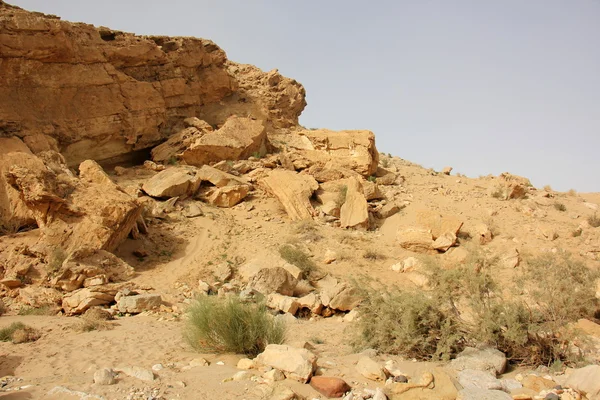 Stenarna i Negev-öknen — Stockfoto