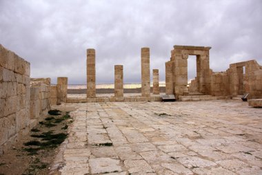 Antik şehir Avdat