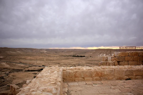 The ancient city of Avdat — Stock Photo, Image