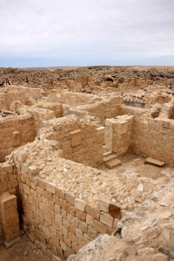 Antik şehir Avdat