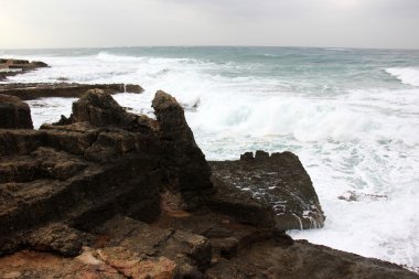 Akdeniz kıyısında