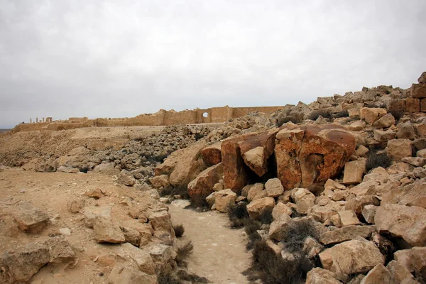 L'antica città di Avdat — Foto Stock