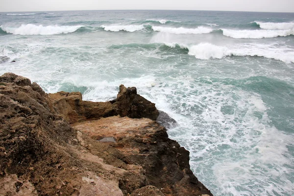 stock image shore of the Mediterranean Sea