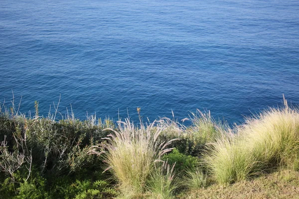 Shore of the Mediterranean Sea — Stock Photo, Image