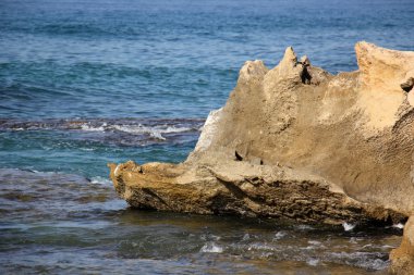 Deniz kıyısındaki taşlar