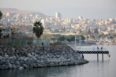 Deniz kıyısındaki taşlar