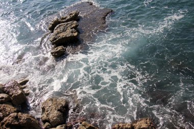 Deniz kıyısındaki taşlar